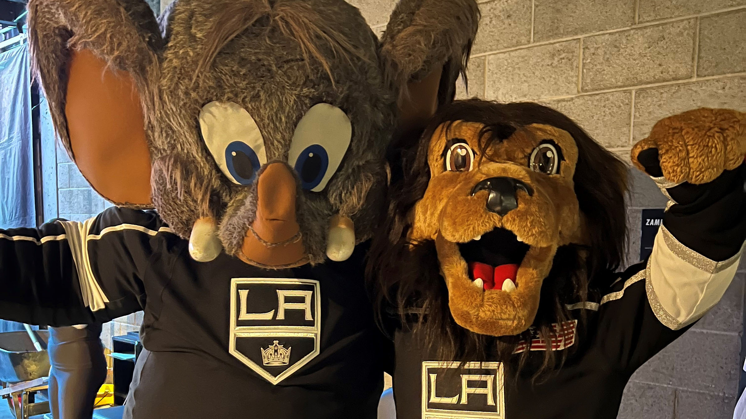 Mane Attraction: LA Kings Mascot is Surprise Guest at Lemon Grove Party